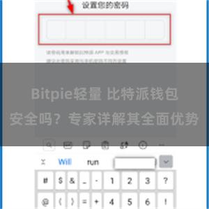 Bitpie轻量 比特派钱包安全吗？专家详解其全面优势