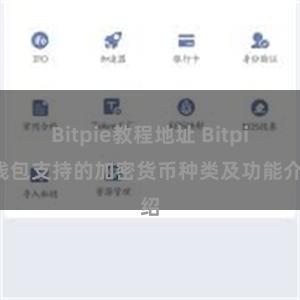 Bitpie教程地址 Bitpie钱包支持的加密货币种类及功能介绍