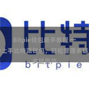 Bitpie钱包新手教程 一分钟上手比特派钱包，轻松管理多链资产