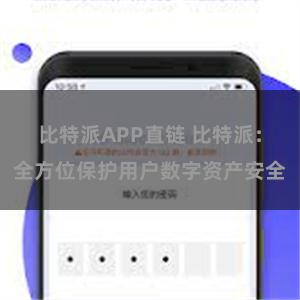 比特派APP直链 比特派：全方位保护用户数字资产安全