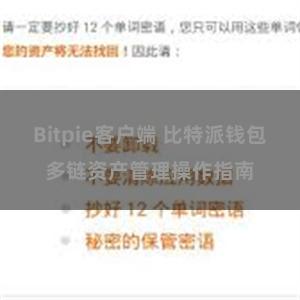 Bitpie客户端 比特派钱包多链资产管理操作指南