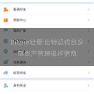 Bitpie轻量 比特派钱包多链资产管理操作指南