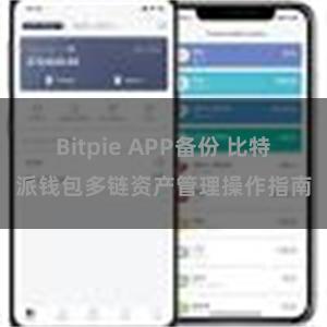 Bitpie APP备份 比特派钱包多链资产管理操作指南