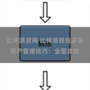 比特派官网 比特派钱包多链资产管理技巧：全面攻略