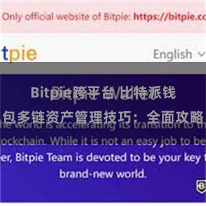 Bitpie跨平台 比特派钱包多链资产管理技巧：全面攻略