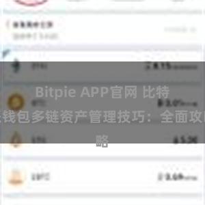 Bitpie APP官网 比特派钱包多链资产管理技巧：全面攻略