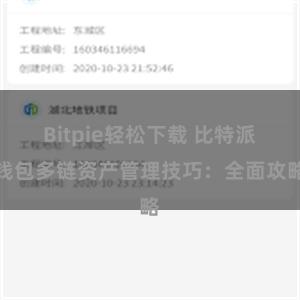 Bitpie轻松下载 比特派钱包多链资产管理技巧：全面攻略