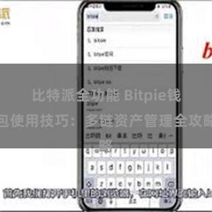 比特派全功能 Bitpie钱包使用技巧：多链资产管理全攻略