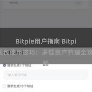 Bitpie用户指南 Bitpie钱包使用技巧：多链资产管理全攻略