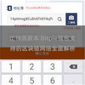 比特派版本 Bitpie钱包支持的区块链网络全面解析