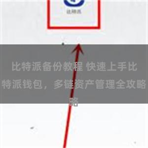 比特派备份教程 快速上手比特派钱包，多链资产管理全攻略