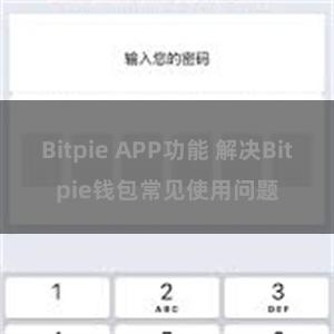 Bitpie APP功能 解决Bitpie钱包常见使用问题