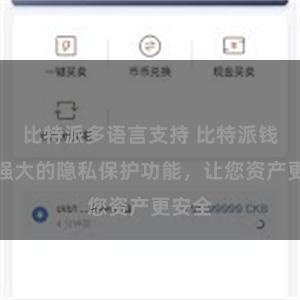 比特派多语言支持 比特派钱包：强大的隐私保护功能，让您资产更安全