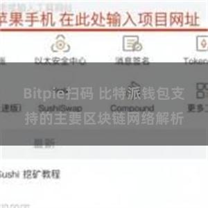 Bitpie扫码 比特派钱包支持的主要区块链网络解析