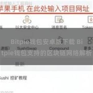 Bitpie钱包安卓版下载 Bitpie钱包支持的区块链网络解析