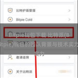 Bitpie钱包下载 比特派(Bitpie)钱包的团队背景与技术实力