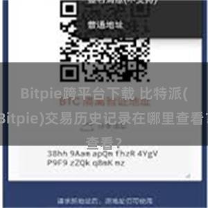 Bitpie跨平台下载 比特派(Bitpie)交易历史记录在哪里查看？