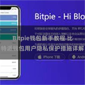 Bitpie钱包新手教程 比特派钱包用户隐私保护措施详解