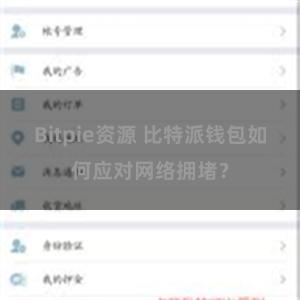 Bitpie资源 比特派钱包如何应对网络拥堵？