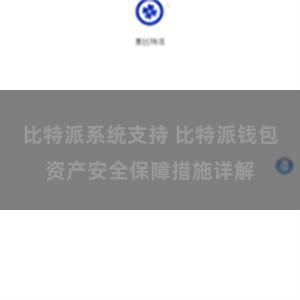 比特派系统支持 比特派钱包资产安全保障措施详解