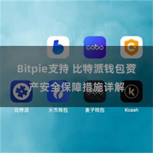 Bitpie支持 比特派钱包资产安全保障措施详解