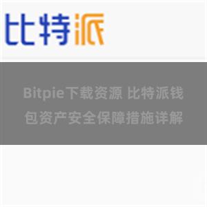 Bitpie下载资源 比特派钱包资产安全保障措施详解