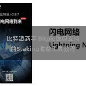 比特派新手 Bitpie钱包支持的Staking收益工具教程
