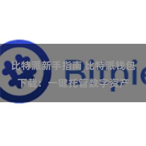 比特派新手指南 比特派钱包下载：一键托管数字资产