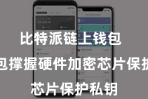 比特派链上钱包  该钱包撑握硬件加密芯片保护私钥