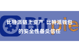 比特派链上资产  比特派钱包的安全性备受信任