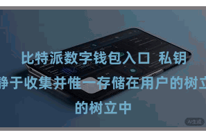 比特派数字钱包入口  私钥寂静于收集并惟一存储在用户的树立中