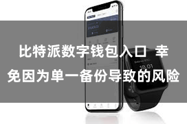 比特派数字钱包入口  幸免因为单一备份导致的风险