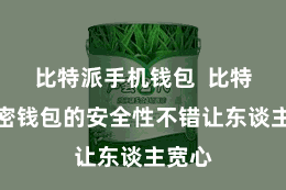 比特派手机钱包  比特派加密钱包的安全性不错让东谈主宽心